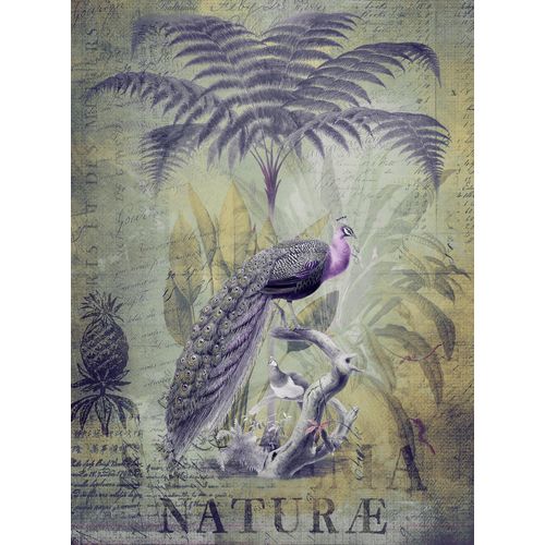 4059432198959 - LIVING WALLS Fototapete ARTist Peacock Jungle Tapeten Vlies Wand Schräge Gr B L 2 m x 27 m bunt (grau grün violett) Fototapeten Blumen Tapeten 4059432198959 - LIVING WALLS Fototapete ARTist Peacock Jungle Tapeten Vlies Wand Schräge Gr B L 2 m x 27 m bunt (grau grün violett) Fototapeten Blumen Tapeten