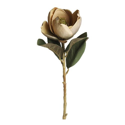 5712750359226 - Chic Antique Fleur Magnolia beige