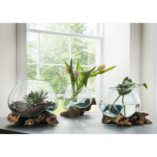 4251707111438 - Unikat Teak-Dekowurzel mit Glasschale ca13 cm