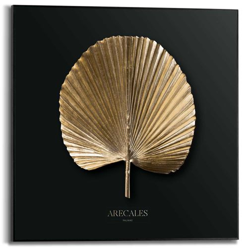 8714597637199 - Wandbild REINDERS Areca Gold Bilder Gr B H T 50 cm x 50 cm x 16 cm goldfarben (gold) Kunstdrucke