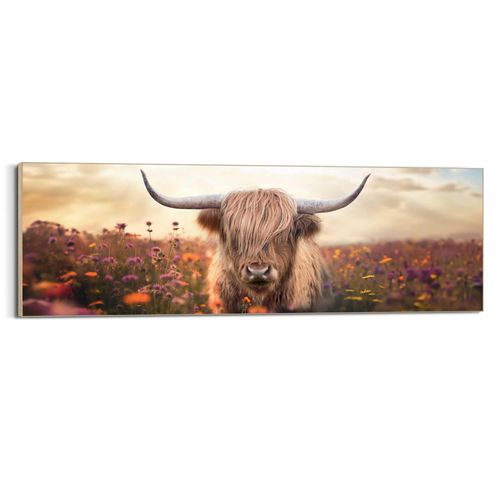 8714597656657 - Wandbild REINDERS Spring Highlander Bilder Gr B H T 52 cm x 156 cm x 3 cm beige 8714597656657 - Wandbild REINDERS Spring Highlander Bilder Gr B H T 52 cm x 156 cm x 3 cm beige
