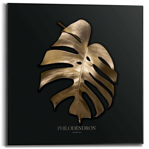 8714597636581 - Wandbild REINDERS Monstera Blatt Bilder Gr B H T 50 cm x 50 cm x 16 cm goldfarben (gold) Kunstdrucke 8714597636581 - Wandbild REINDERS Monstera Blatt Bilder Gr B H T 50 cm x 50 cm x 16 cm goldfarben (gold) Kunstdrucke