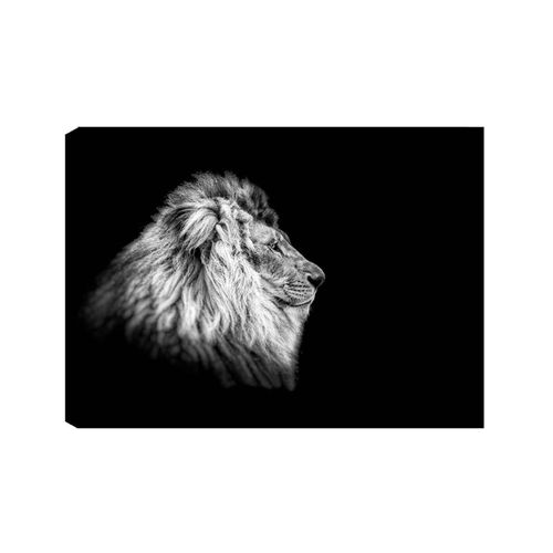 8681875740820 - Wandbild »Wallxpert Löwe« Löwe 8681875740820 - Wandbild »Wallxpert Löwe« Löwe