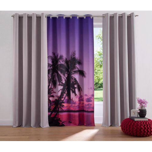 6943755942468 - Verdunkelungsvorhang MY HOME Solana Gr 8 grau (hellgrau) B280cm H245cm Polyester Polyester Gardinen Vorhang Gardine Breite 280 cm verdunkelnd einfarbig Raumteiler