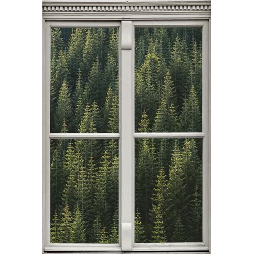 4049009363576 - Wandsticker QUEENCE Bäume Wandtattoos Gr B H T 40 cm x 60 cm x 01 cm Natur grün Wandtattoos Natur