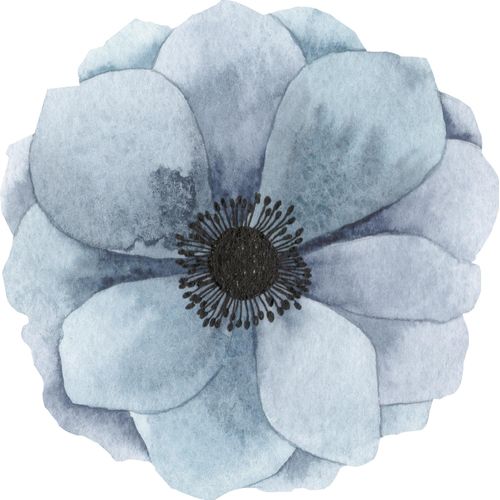 4049009857877 - Wandtattoo QUEENCE Kamela Wandtattoos Gr B H 70 cm x 70 cm Blume blau Wandtattoos Natur