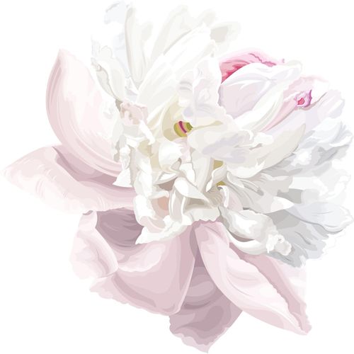 4049009857839 - Wandtattoo QUEENCE Matilda Wandtattoos Gr B H 90 cm x 90 cm Blume rosa Wandtattoos Natur 4049009857839 - Wandtattoo QUEENCE Matilda Wandtattoos Gr B H 90 cm x 90 cm Blume rosa Wandtattoos Natur