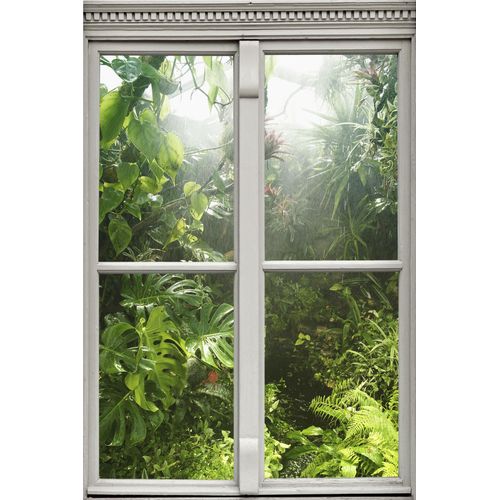 4049009065630 - Wandsticker QUEENCE Regenwald Wandtattoos Gr B H T 40 cm x 60 cm x 01 cm Natur grün Wandtattoos Natur