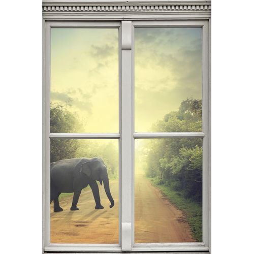 4049009083733 - Wandsticker QUEENCE Elefant Wandtattoos Gr B H T 40 cm x 60 cm x 01 cm Tiere bunt Wandtattoos Tiere
