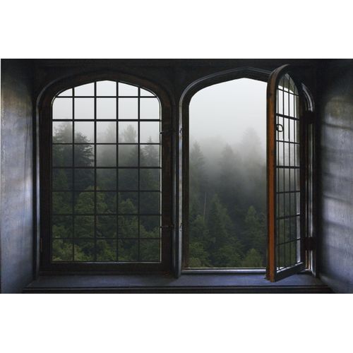 4049009354604 - Wandsticker QUEENCE Nebel Wandtattoos Gr B H 60 cm x 40 cm Natur grün Wandtattoos Natur