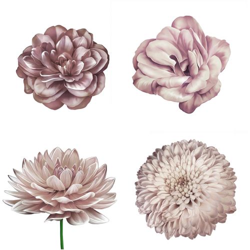 4049009858515 - Wandtattoo QUEENCE Mila Wandtattoos Gr B H 70 cm x 70 cm Blume rosa Wandtattoos Natur 4049009858515 - Wandtattoo QUEENCE Mila Wandtattoos Gr B H 70 cm x 70 cm Blume rosa Wandtattoos Natur