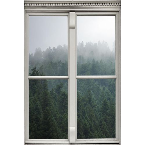4049009360339 - Wandsticker QUEENCE Nebeliger Wald Wandtattoos Gr B H T 40 cm x 60 cm x 01 cm Natur grün Wandtattoos Natur
