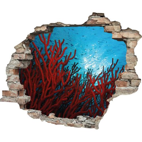 4049009117865 - Wandtattoo QUEENCE Korallen Wandtattoos Gr B H T 60 cm x 50 cm x 01 cm Natur rot Wandtattoos Natur 4049009117865 - Wandtattoo QUEENCE Korallen Wandtattoos Gr B H T 60 cm x 50 cm x 01 cm Natur rot Wandtattoos Natur