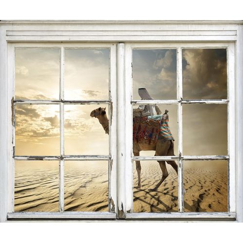 4049009354840 - Wandsticker QUEENCE Kamel in Wüste Wandtattoos Gr B H T 40 cm x 60 cm x 01 cm Natur bunt Wandtattoos Natur