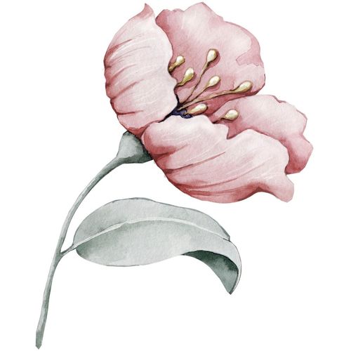 4049009858263 - Wandtattoo »Annie« (1 St) Wandbild Sticker rosa Blume Blüte selbstklebend Pastellfarben