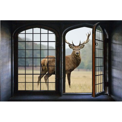 4049009045717 - Wandsticker QUEENCE Hirsch Wandtattoos Gr B H 60 cm x 40 cm Tiere bunt Wandtattoos Tiere