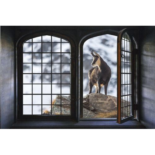 4049009100003 - Wandsticker QUEENCE Berge Wandtattoos Gr B H 60 cm x 40 cm Natur bunt Wandtattoos Natur