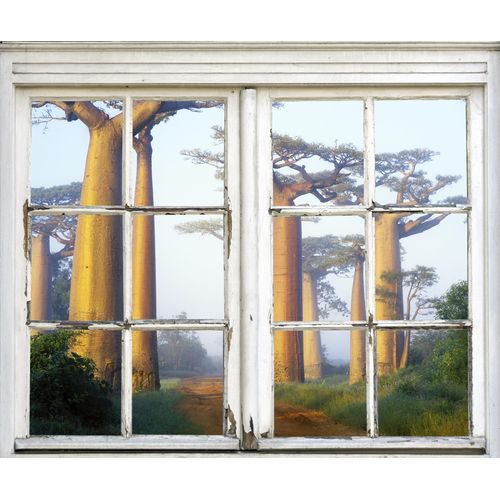 4049009117032 - Wandsticker QUEENCE Bäume Wandtattoos Gr B H T 40 cm x 60 cm x 01 cm Natur beige (natur) Wandtattoos Natur