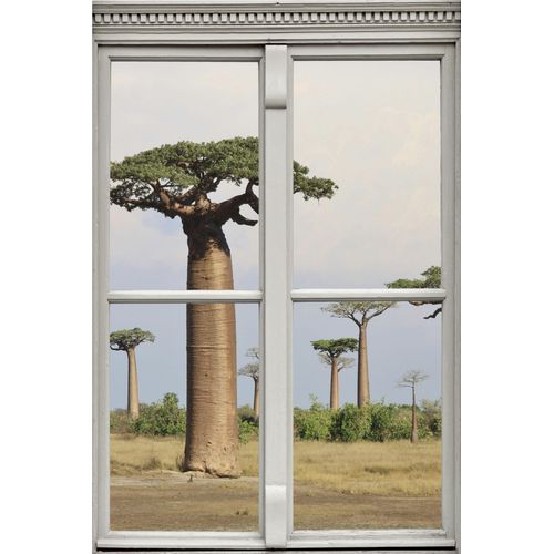4049009360087 - Wandsticker QUEENCE Affenbrotbäume Wandtattoos Gr B H T 40 cm x 60 cm x 01 cm Natur beige (natur) Wandtattoos Natur