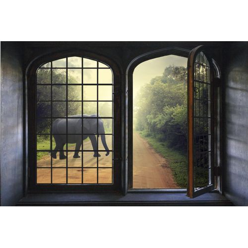 4049009530602 - Wandsticker QUEENCE Elefant Wandtattoos Gr B H 60 cm x 40 cm Tiere bunt Wandtattoos Tiere 4049009530602 - Wandsticker QUEENCE Elefant Wandtattoos Gr B H 60 cm x 40 cm Tiere bunt Wandtattoos Tiere