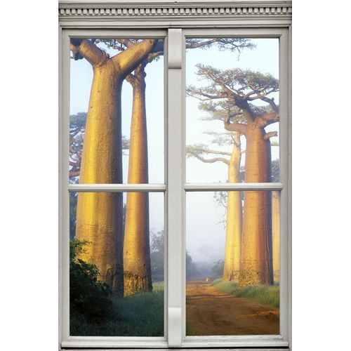 4049009091950 - Wandsticker QUEENCE Affenbrotbäume Wandtattoos Gr B H T 40 cm x 60 cm x 01 cm Natur braun Wandtattoos Natur