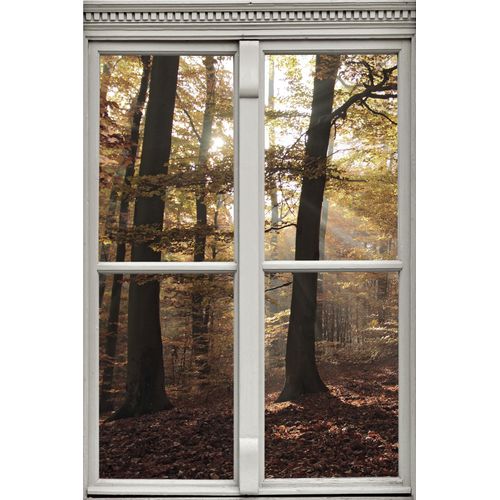 4049009352693 - Wandsticker QUEENCE Wald Wandtattoos Gr B H T 40 cm x 60 cm x 01 cm Natur beige (natur) Wandtattoos Natur 4049009352693 - Wandsticker QUEENCE Wald Wandtattoos Gr B H T 40 cm x 60 cm x 01 cm Natur beige (natur) Wandtattoos Natur