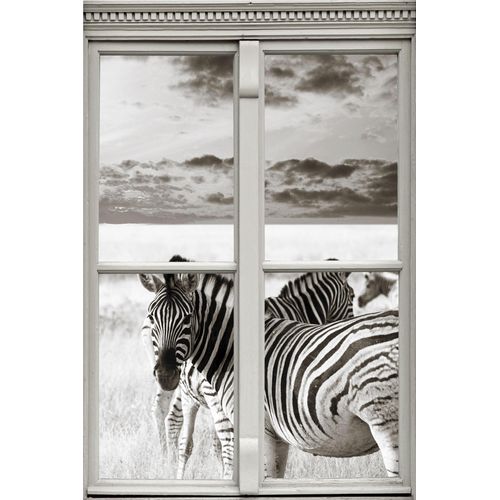 4049009137429 - Wandsticker QUEENCE Zebras Wandtattoos Gr B H T 40 cm x 60 cm x 01 cm Tiere grau Wandtattoos Tiere