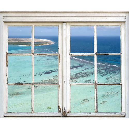 4049009354369 - Wandsticker QUEENCE Meer Wandtattoos Gr B H T 40 cm x 60 cm x 01 cm Natur blau Wandtattoos Natur