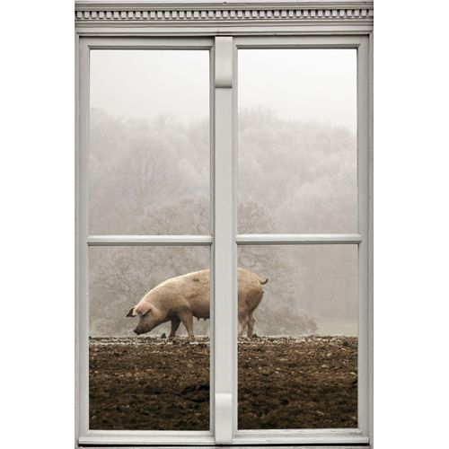 4049009104476 - Wandsticker QUEENCE Schwein Wandtattoos Gr B H T 40 cm x 60 cm x 01 cm Tiere braun Wandtattoos Tiere 4049009104476 - Wandsticker QUEENCE Schwein Wandtattoos Gr B H T 40 cm x 60 cm x 01 cm Tiere braun Wandtattoos Tiere