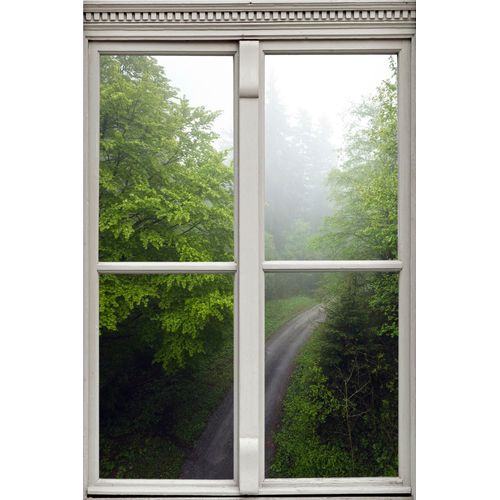 4049009355403 - Wandsticker QUEENCE Waldweg Wandtattoos Gr B H T 40 cm x 60 cm x 01 cm Natur grün Wandtattoos Natur