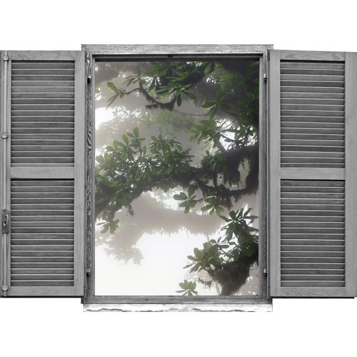 4049009363378 - Wandtattoo QUEENCE Asiatischer Baum Wandtattoos Gr B H T 80 cm x 60 cm x 01 cm Natur bunt Wandtattoos Natur