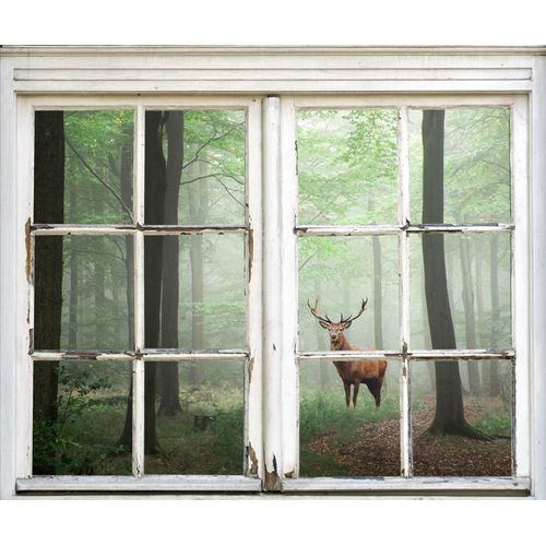 4049009057956 - Wandsticker QUEENCE Hirsch im Wald Wandtattoos Gr B H T 40 cm x 60 cm x 01 cm Natur braun Wandtattoos Natur