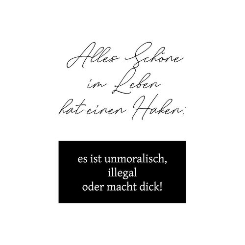 4049009351962 - Wanddekoobjekt QUEENCE Alles Schöne im Leben hat einen Haken  Wanddekoobjekte Gr B H T 30 cm x 45 cm x 01 cm Spruch-Schriftzug schwarz (schwarz weiß) Wanddekoration Wanddekoobjekte Schriftzug auf Stahlblech