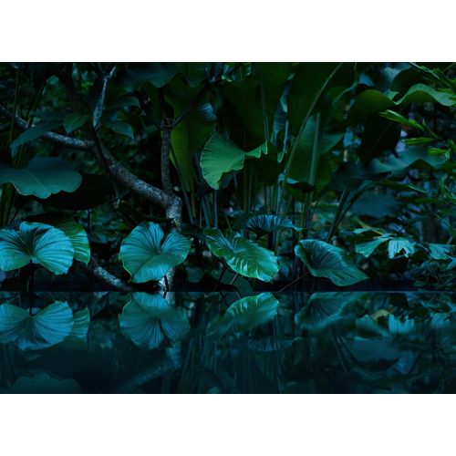 4059432189780 - LIVING WALLS Fototapete Designwalls Tropical Tapeten Vlies Wand Schräge Decke Gr B L 35 m x 255 m blau (blau grün) Fototapeten Blumen Tapeten 4059432189780 - LIVING WALLS Fototapete Designwalls Tropical Tapeten Vlies Wand Schräge Decke Gr B L 35 m x 255 m blau (blau grün) Fototapeten Blumen Tapeten