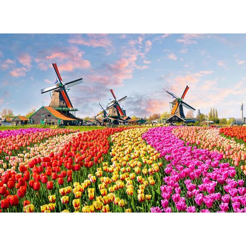 4059432188769 - LIVING WALLS Fototapete Designwalls Zaanse Schans Tapeten Vlies Wand Schräge Decke Gr B L 35 m x 255 m bunt (bunt blau rot) Fototapeten Blumen Tapeten 4059432188769 - LIVING WALLS Fototapete Designwalls Zaanse Schans Tapeten Vlies Wand Schräge Decke Gr B L 35 m x 255 m bunt (bunt blau rot) Fototapeten Blumen Tapeten