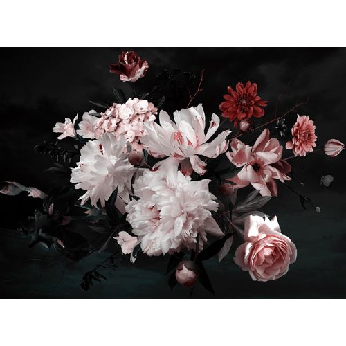 4059432187021 - LIVING WALLS Fototapete Designwalls Bunch of Flower 2 Tapeten Vlies Wand Schräge Decke Gr B L 35 m x 255 m rot (weiß rot schwarz) Fototapeten Blumen Tapeten 4059432187021 - LIVING WALLS Fototapete Designwalls Bunch of Flower 2 Tapeten Vlies Wand Schräge Decke Gr B L 35 m x 255 m rot (weiß rot schwarz) Fototapeten Blumen Tapeten