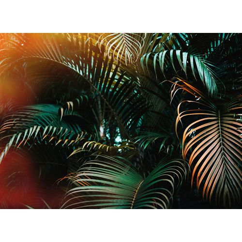4059432189773 - LIVING WALLS Fototapete Designwalls Jungle Colour Tapeten Vlies Wand Schräge Decke Gr B L 35 m x 255 m grün (grün braun) Fototapeten Blumen Tapeten 4059432189773 - LIVING WALLS Fototapete Designwalls Jungle Colour Tapeten Vlies Wand Schräge Decke Gr B L 35 m x 255 m grün (grün braun) Fototapeten Blumen Tapeten