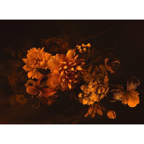 4059432186987 - LIVING WALLS Fototapete Designwalls Blossom Variety 2 Tapeten Vlies Wand Schräge Decke Gr B L 35 m x 255 m orange (orange schwarz) Fototapeten Blumen Tapeten 4059432186987 - LIVING WALLS Fototapete Designwalls Blossom Variety 2 Tapeten Vlies Wand Schräge Decke Gr B L 35 m x 255 m orange (orange schwarz) Fototapeten Blumen Tapeten