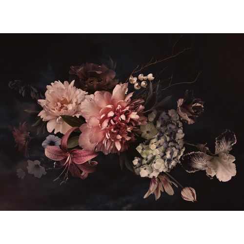 4059432186963 - LIVING WALLS Fototapete Designwalls Blossom Variety 1 Tapeten Vlies Wand Schräge Decke Gr B L 35 m x 255 m rosa (rosa creme schwarz) Fototapeten Blumen Tapeten 4059432186963 - LIVING WALLS Fototapete Designwalls Blossom Variety 1 Tapeten Vlies Wand Schräge Decke Gr B L 35 m x 255 m rosa (rosa creme schwarz) Fototapeten Blumen Tapeten
