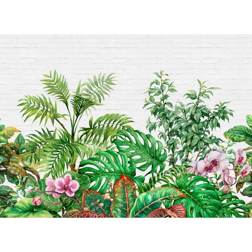 4059432187120 - LIVING WALLS Fototapete Designwalls Tropical Wall 1 Tapeten Vlies Wand Schräge Decke Gr B L 35 m x 255 m bunt (grün weiß rosa) Fototapeten Blumen Tapeten 4059432187120 - LIVING WALLS Fototapete Designwalls Tropical Wall 1 Tapeten Vlies Wand Schräge Decke Gr B L 35 m x 255 m bunt (grün weiß rosa) Fototapeten Blumen Tapeten