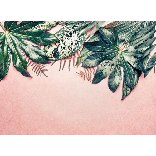 4059432187304 - LIVING WALLS Fototapete Designwalls Leaves Variety 1 Tapeten Vlies Wand Schräge Decke Gr B L 35 m x 255 m grün (grün rosa) Fototapeten Blumen Tapeten 4059432187304 - LIVING WALLS Fototapete Designwalls Leaves Variety 1 Tapeten Vlies Wand Schräge Decke Gr B L 35 m x 255 m grün (grün rosa) Fototapeten Blumen Tapeten