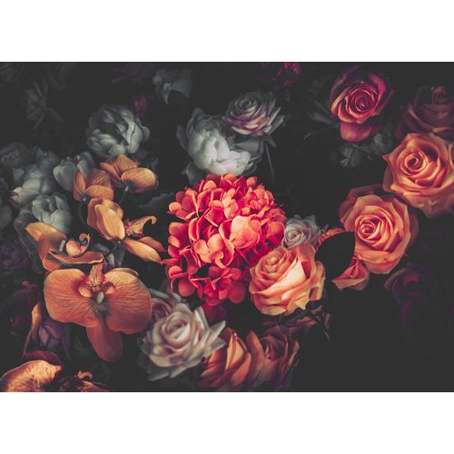 4059432186925 - LIVING WALLS Fototapete Designwalls Romantic Flowers 1 Tapeten Vlies Wand Schräge Decke Gr B L 35 m x 255 m rot (rot schwarz) Fototapeten Blumen Tapeten 4059432186925 - LIVING WALLS Fototapete Designwalls Romantic Flowers 1 Tapeten Vlies Wand Schräge Decke Gr B L 35 m x 255 m rot (rot schwarz) Fototapeten Blumen Tapeten