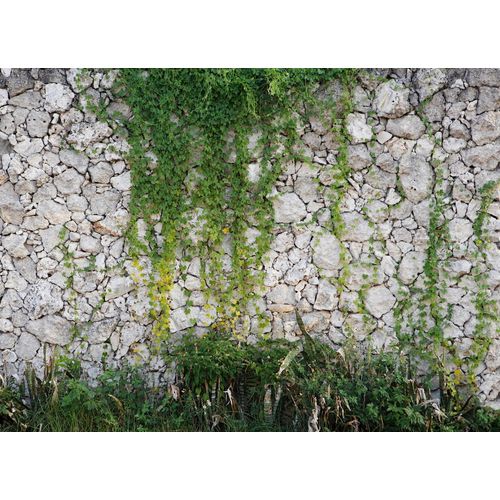 4059432189759 - Fototapete LIVING WALLS Designwalls Stone Wall grün (grün grau) B35m L255m Vlies Tapeten Vlies Wand Schräge Decke 4059432189759 - Fototapete LIVING WALLS Designwalls Stone Wall grün (grün grau) B35m L255m Vlies Tapeten Vlies Wand Schräge Decke