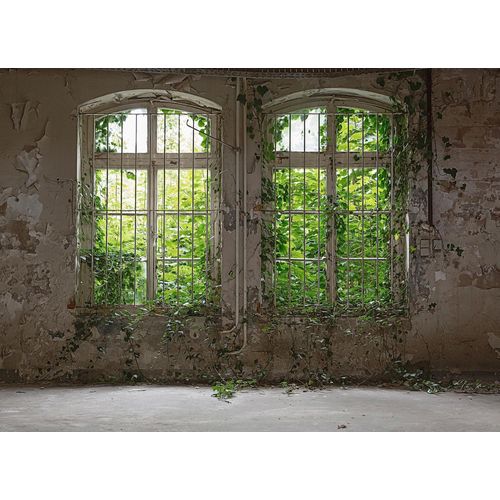 4059432189766 - LIVING WALLS Fototapete Designwalls Old Window Tapeten Vlies Wand Schräge Decke Gr B L 35 m x 255 m grau (grau grün) Fototapeten Blumen Tapeten 4059432189766 - LIVING WALLS Fototapete Designwalls Old Window Tapeten Vlies Wand Schräge Decke Gr B L 35 m x 255 m grau (grau grün) Fototapeten Blumen Tapeten