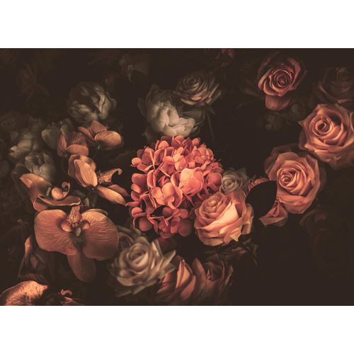 4059432186949 - LIVING WALLS Fototapete Designwalls Romantic Flowers 2 Tapeten Vlies Wand Schräge Decke Gr B L 35 m x 255 m orange (orange schwarz) Fototapeten Blumen Tapeten 4059432186949 - LIVING WALLS Fototapete Designwalls Romantic Flowers 2 Tapeten Vlies Wand Schräge Decke Gr B L 35 m x 255 m orange (orange schwarz) Fototapeten Blumen Tapeten