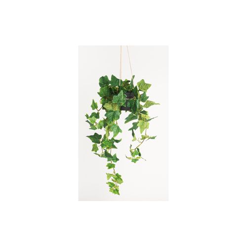 4016550339763 - Botanic-Haus Kunstblume »Efeu hängend«