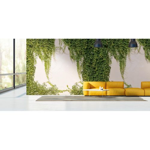 4051315602447 - Fototapete LIVING WALLS Fototapete Efeu grün (grün creme) B371m H001m L28m Vlies Vinyl Tapeten Efeuwand Pflanzen Tapeten Wohnzimmer Schlafzimmer Küche modern Design 4051315602447 - Fototapete LIVING WALLS Fototapete Efeu grün (grün creme) B371m H001m L28m Vlies Vinyl Tapeten Efeuwand Pflanzen Tapeten Wohnzimmer Schlafzimmer Küche modern Design