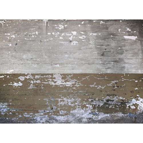 4059432189704 - Fototapete LIVING WALLS Designwalls Concrete Coated grau (grau braun) B35m L255m Vlies Tapeten Vlies Wand Schräge Decke 4059432189704 - Fototapete LIVING WALLS Designwalls Concrete Coated grau (grau braun) B35m L255m Vlies Tapeten Vlies Wand Schräge Decke