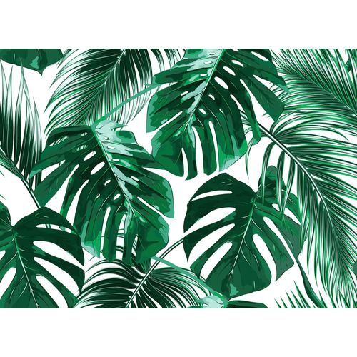 4059432187540 - LIVING WALLS Fototapete Designwalls Palm Leaves 1 Tapeten Vlies Wand Schräge Decke Gr B L 35 m x 255 m grün (grün weiß) Fototapeten Blumen Tapeten 4059432187540 - LIVING WALLS Fototapete Designwalls Palm Leaves 1 Tapeten Vlies Wand Schräge Decke Gr B L 35 m x 255 m grün (grün weiß) Fototapeten Blumen Tapeten