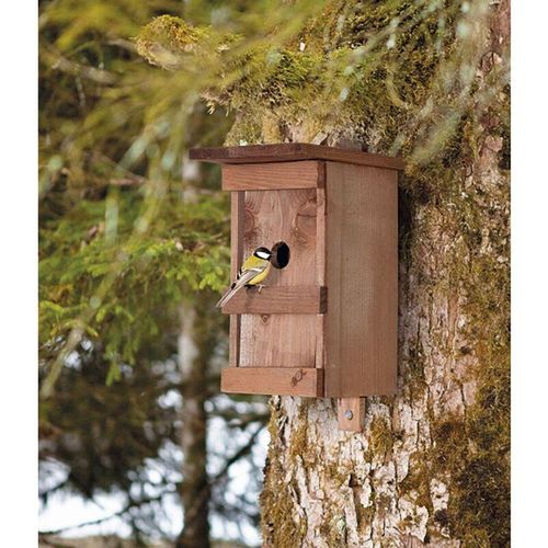 9003117069251 - - Vogelnest aus massivem lackiertem Holz